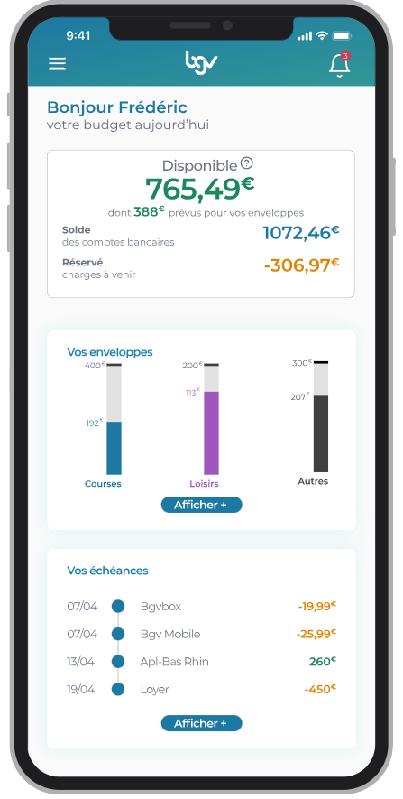 copie écran de l'application Budget Grande Vitesse représentant un exemple de situation budgétaire d'une personne fictive